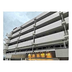 ハイツリヴァ・スター 406