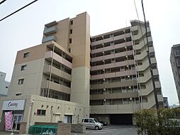 エヴァーグリーン新羽 205