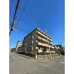 グレース代官IV 203