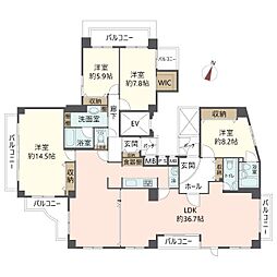 神戸市東灘区御影中町４丁目