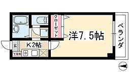 シャンボール花水木 202