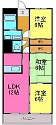 アベニュー藤 4D