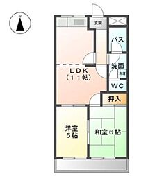 プチキャロル 202