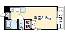 シェリーアルモン 302