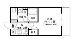 Ｐｅｎｎ．Ｃｕｒｔｉｓ 204