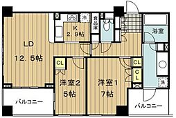 ガーデンコートＴ 503