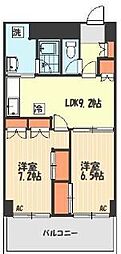 ディフロイデェ 203