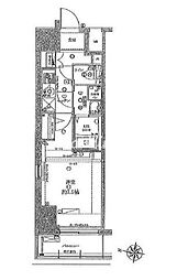 ライジングプレイス西浅草 203