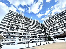 ロイヤルコート半田弐番館「リノベ×ペット飼育可」 1002