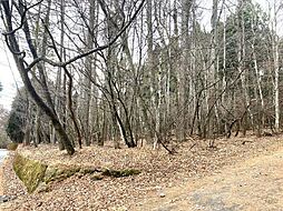 売土地　山中湖　平野