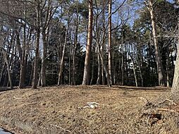 売土地　忍野村忍草