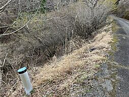 売土地 山中湖村　平野