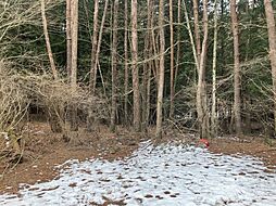 売土地　忍野村忍草平山