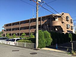 ジュネスコートＡ 305