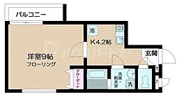 サングレース