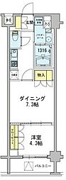 デュオステージ東十条 302