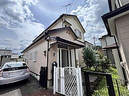 丹波篠山市杉