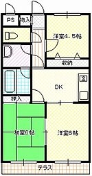 プリムローズ 305