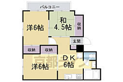 グレーシー高野