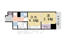 アメイジング桂 101