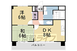 ラベンダー 302