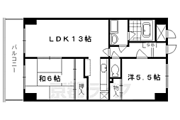ジェンティール・アドニス