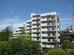 千里山ロイヤルマンション2番街B棟 302