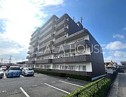 ミューアダマスグランテ