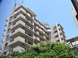 パールモア新井堂 502