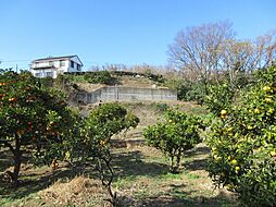 伊豆高原事業用用地