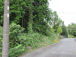 城ヶ崎３９６５