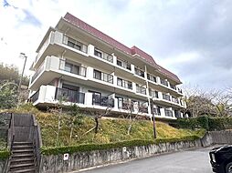 セラーリオコート鳥 103