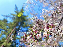 パレロワイヤル六番町