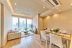 白金ザ・スカイＥ棟