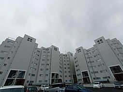 ロイヤルシャトー新札幌 212