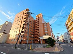 朝日プラザ白石本通 502