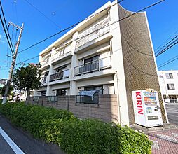 Warabi Moochi 305