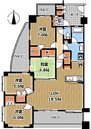 サンクタス新松戸ヴィレーヴ 301
