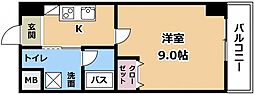R-IIコート