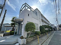 メゾンアイリス