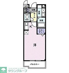 プリムローズ　II 203