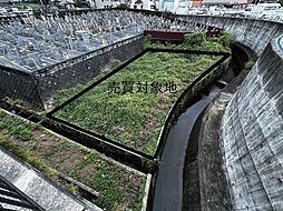 八幡市 橋本焼野