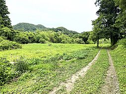 山小川土地