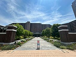 ユニヴェルシオール学園の丘
