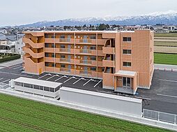 ドリームフェリオ 106