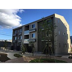 MAST　TOWN　GRACE　B