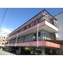 エヴァーグリーン中央