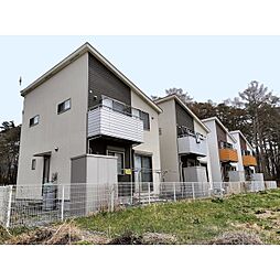 Four　Leaf　Clover　C