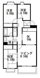 Ｔ’ｓ　ｇａｒｄｅｎ習志野台 305