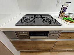 マンション第八松戸 3階 309